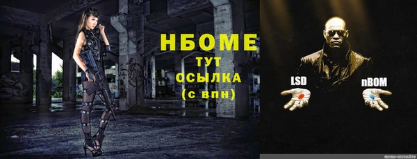 стафф Коряжма
